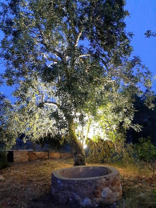 Quinta Do Cerro Sao Vicente Villa Albufeira Eksteriør bilde