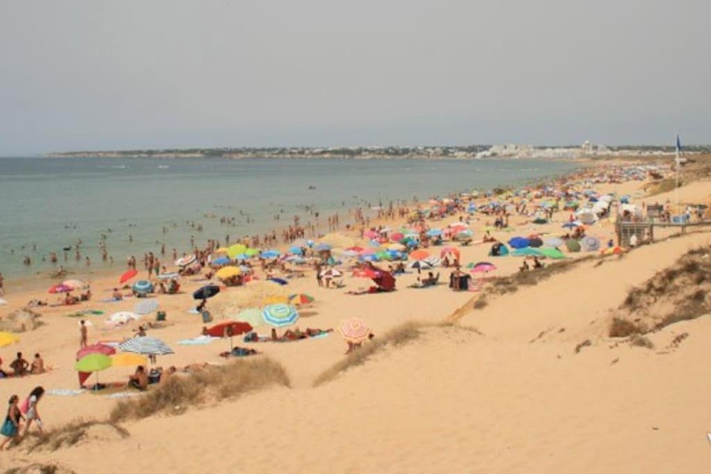 Quinta Do Cerro Sao Vicente Villa Albufeira Eksteriør bilde